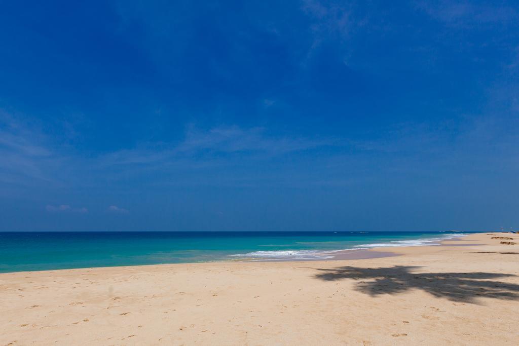 Blue Parrot Beach Villa アンバランゴダ エクステリア 写真