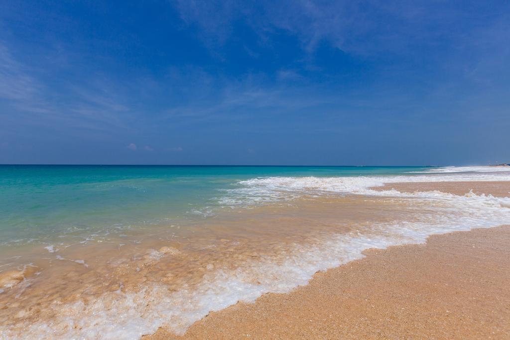 Blue Parrot Beach Villa アンバランゴダ エクステリア 写真